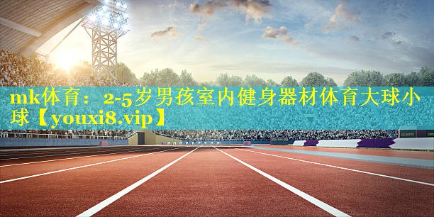 mk体育：2-5岁男孩室内健身器材体育大球小球