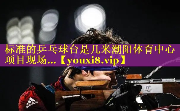 标准的乒乓球台是几米潮阳体育中心项目现场…